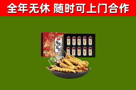 东莞烟酒回收冬虫夏草礼盒.jpg